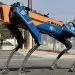 Becoming a robotic dog whisperer