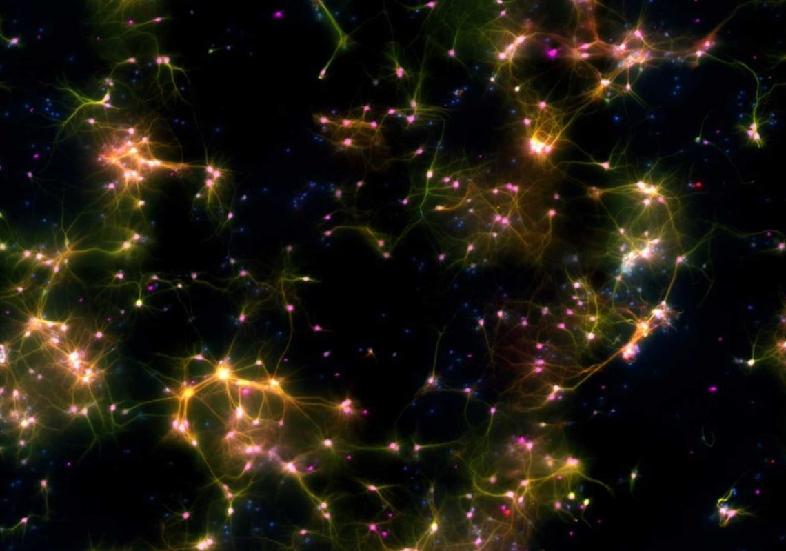 One giant leap for biological engineering