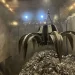 Engineers Australia leaders tour innovative Danish green energy plant