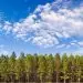 This software helps engineers open a toolbox for mass timber