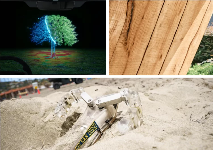 From AI timber to a turtle robot: Three new tech developments