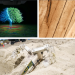 From AI timber to a turtle robot: Three new tech developments