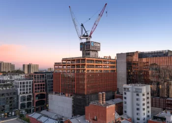 T3 Collingwood and its innovative approach to mass timber buildings
