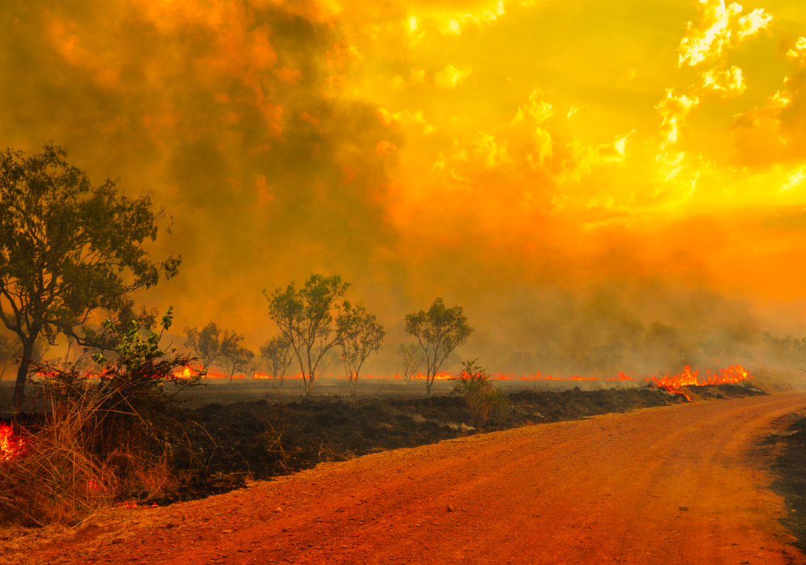 Bushfires In Australia - YouTube