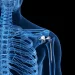 Why biomechanical engineers are vital to the future of public health