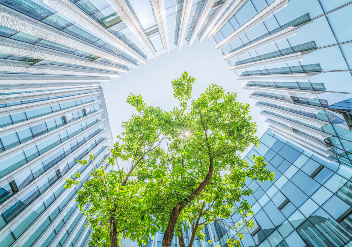 How utilities company Veolia balances profit with sustainability