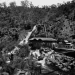 Hydro-electric power to the people: The story of Duck Reach Power Station
