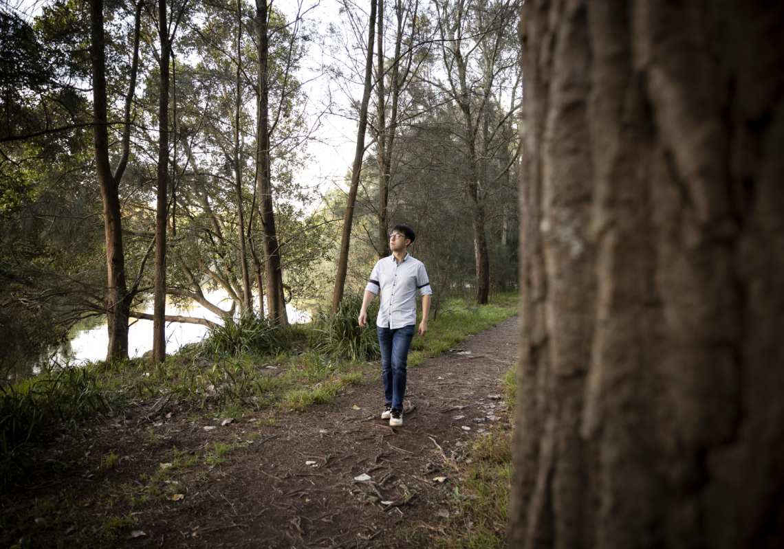 How can planting more native trees help combat erosion?