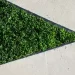 Fortifying green cement for low-carbon construction