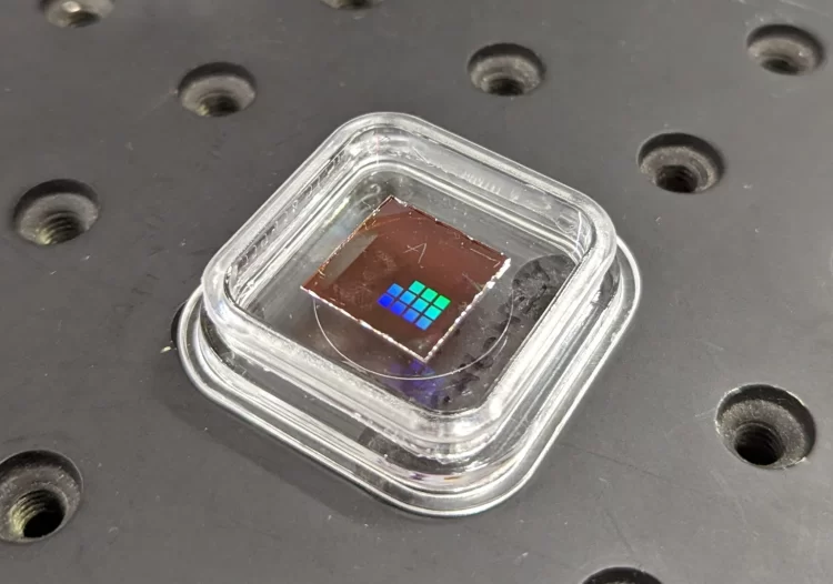 The breakthrough sensors designed to improve crop health monitoring
