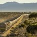 How Australia can drive productivity gains by moving freight transport back onto rail