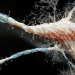 The matchbox-sized device that could screen for Alzheimer’s disease