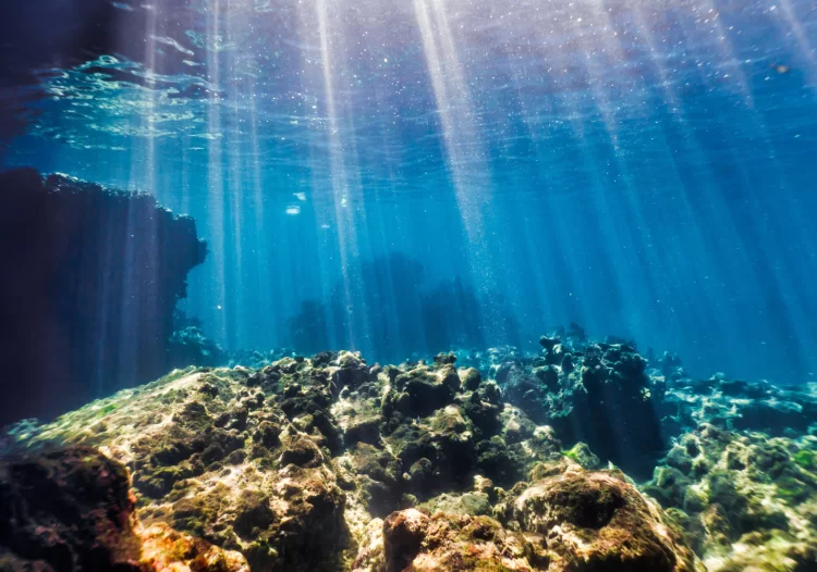 Little known about the effects of mining on deep-water ecosystems. Image: Getty