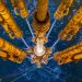 Sounding the alarm on ocean noise pollution