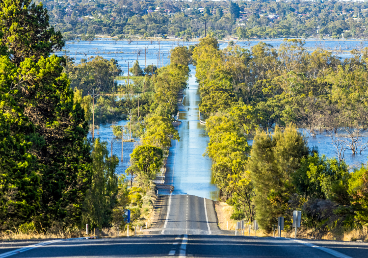 Taking a natural approach to flood mitigation