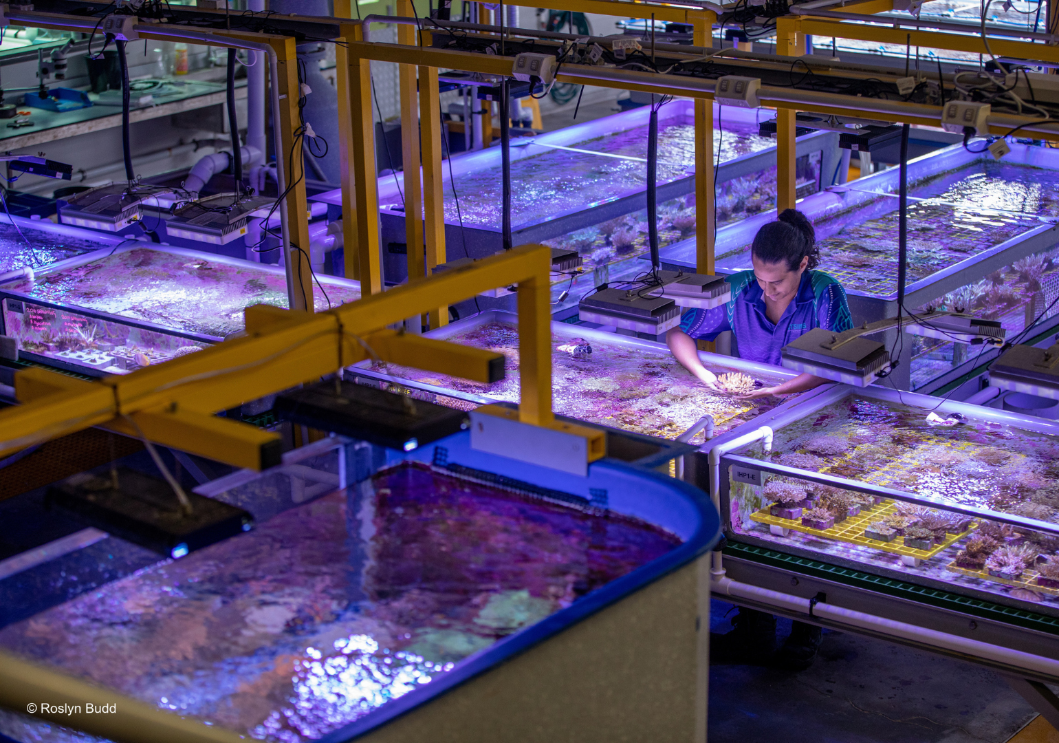 How to simulate an ocean in a tank