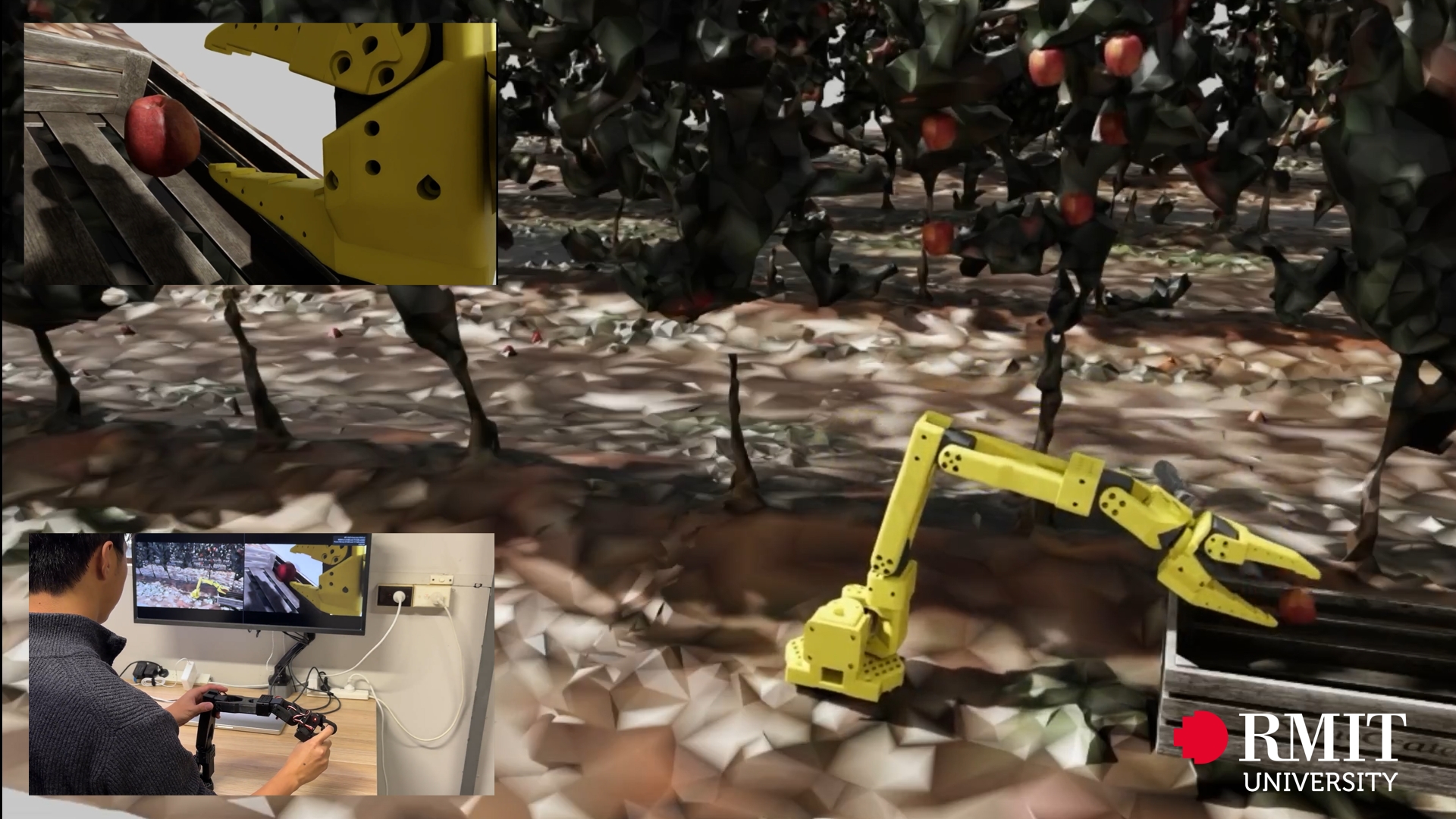 A researcher demonstrates robotic fruit harvesting via teleoperation, derisking real-world deployment.