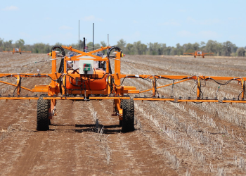 Smaller robots are the future of farming